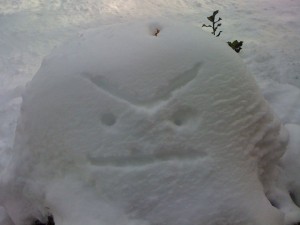 angrysnow